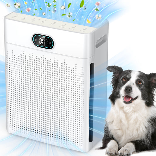 Air Purifiers for Home Bedroom, HEPA Air Purifier with Washable Pre-filter, Pet Mode, PM 2.5 Air Quality Monitor, for Pets Hair, Dust(PR3)