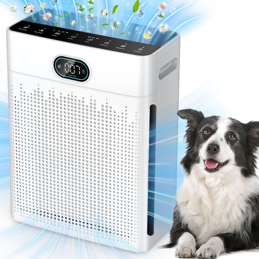 Air Purifiers for Home Bedroom, HEPA Air Purifier with Washable Pre-filter, Pet Mode, PM 2.5 Air Quality Monitor, for Pets Hair, Dust(PR3)