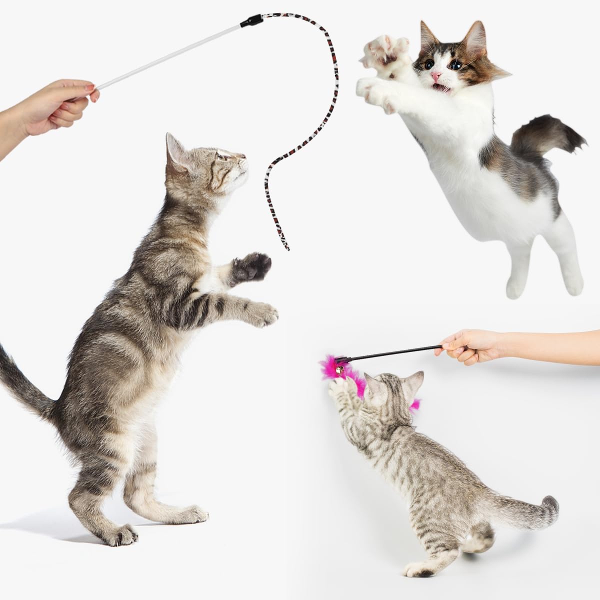 TAIMASI 32 PCS Cat Toys Kitten Toys,Interactive Variety Catnip Toys with Collapsible Rainbow Tunnel,Cat Feather Teaser Crinkle Balls Spring Toy for Cat, Kitty,Puppy